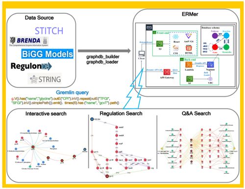微生物領域的革新 Tibcas聯合亞馬遜云科技提出針對真實業務場景的信息技術咨詢服務新框架